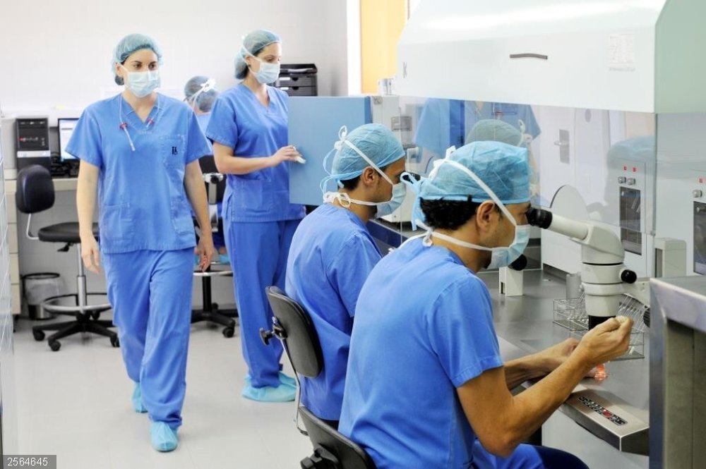 Empresas.- La inversión en I+D+I de Instituto Bernabeu superó los 2,3 millones en 2019 Laboratorios del Instituto Bernabéu.