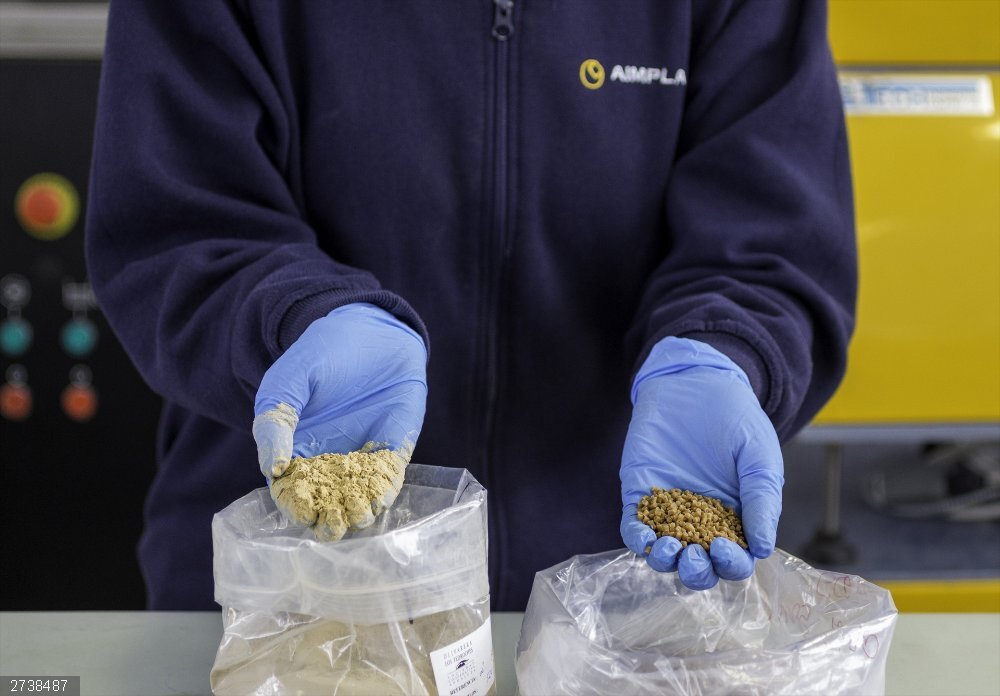 Aimplas trabaja para desarrollar un material plástico sostenible para el aceite a partir de huesos de oliva Proyecto Go-Oliva