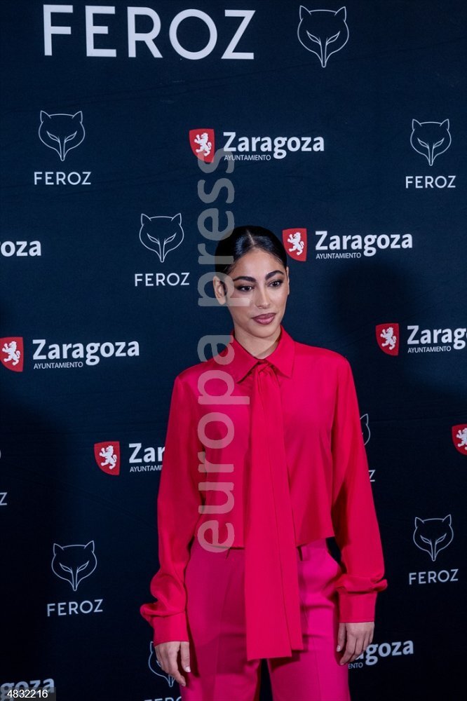 Nominados de la décima edición de los Premios Feroz 2023 - EUROPAPRESS