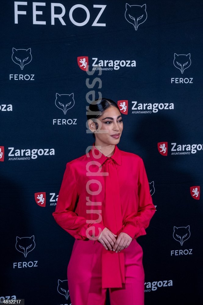 Nominados de la décima edición de los Premios Feroz 2023 - EUROPAPRESS