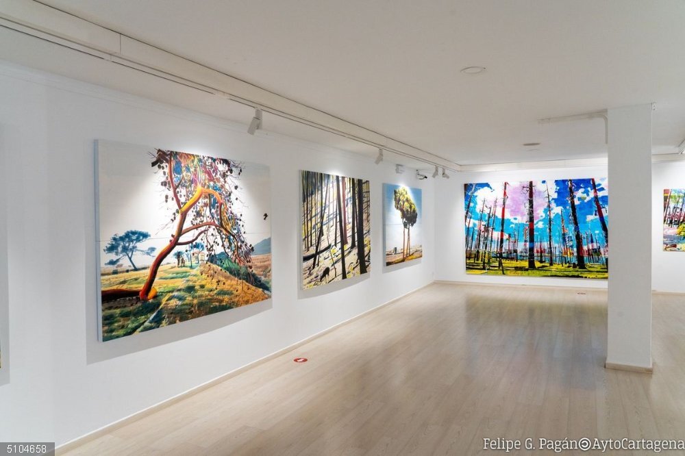 Parte de la exposición 'Incidencias humanas', compuesta por cerca de una treintena de piezas con las que el artista murciano Manuel Pérez pretende generar conciencia medioambiental Parte de la exposición 'Incidencias humanas', compuesta por cerca de una treintena de piezas con las que el artista murciano Manuel Pérez pretende generar conciencia medioambiental