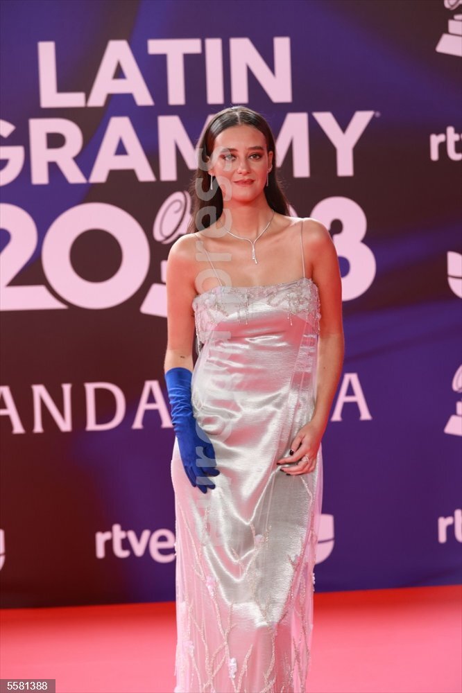 Alfombra Roja De Los Latin Grammy 2023 Europapress