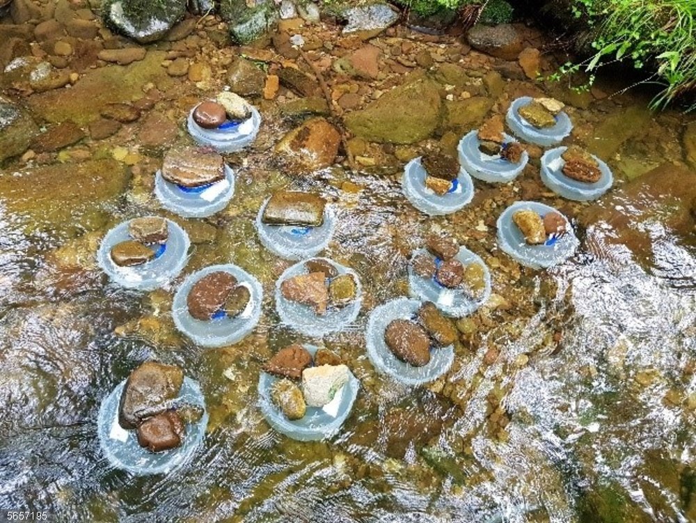 IHCantabria participa en un estudio que revela cómo la temperatura afecta al metabolismo de los salmónidos Cámaras usadas en los ensayos del estudio sobre cómo afecta la temperatura ambiente a los salmónidos