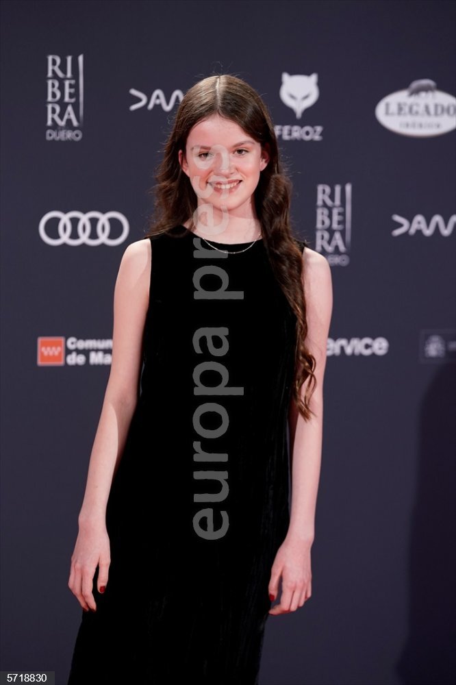 Alfombra roja de los Premios Feroz 2024 - EUROPAPRESS