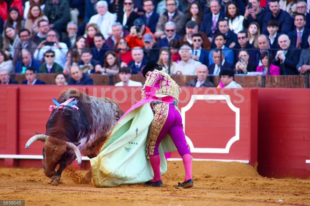 Morante, Castella y Roca Rey abren la temporada 2024 en la Maestranza.  El torero, Morante de la Puebla durante su faena en la Maestranza, a 31 de marzo de 2024, en Sevilla, Andalucía (España). Cada Domingo de Resurrección, la temporada taurina da comienzo en la emblemática plaza de toros de la Maestranza de Sevilla. Este año, Morante, Castella y Roca Rey inauguran la temporada 2024 con la corrida de toros de la ganadería de los Hermanos García Jiménez-Olga Jiménez.