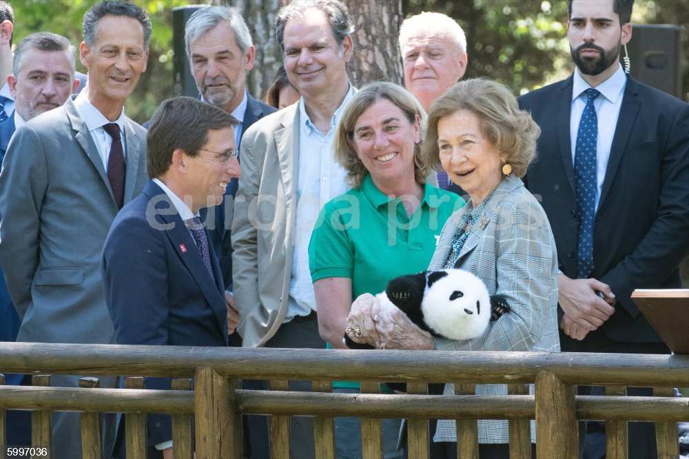 Pascal Reina La reina Sofía asiste a la presentación de los dos nuevos pandas del ...