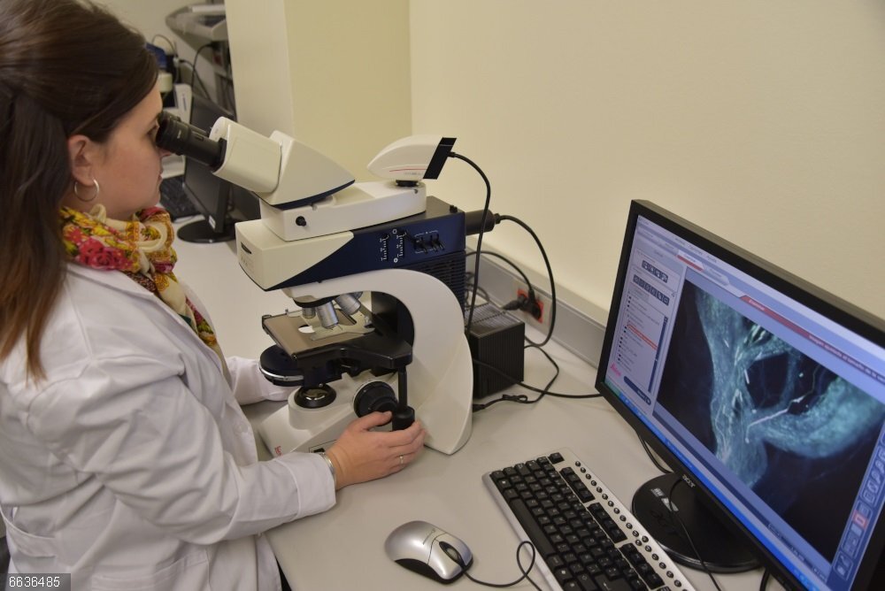 Cicytex crea los premios'Agro Género en la Investigación' que reconocerán proyectos que incorporen perspectiva de género Laboratorio del Cicytex