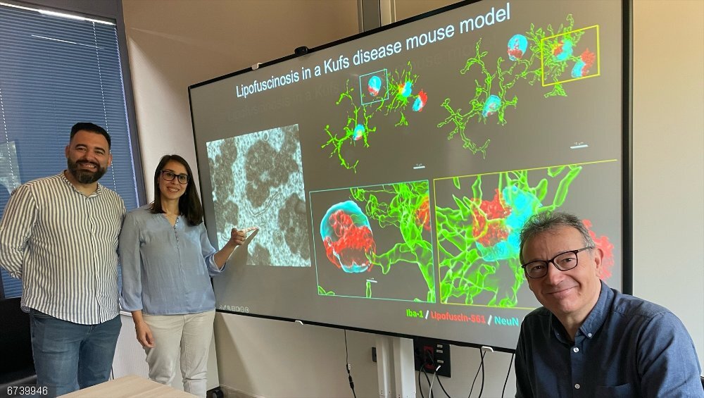 El IBiS desarrolla el primer ratón modelo de una grave enfermedad neurodegenerativa un siglo después del descubrimiento. El IBiS desarrolla el primer ratón modelo de una grave enfermedad neurodegenerativa un siglo después del descubrimiento.