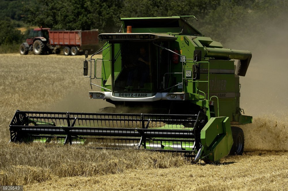Gobierno Vasco organiza el 24 de septiembre un webinar para reforzar la aplicación de la Ley de la Cadena Alimentaria Cosecha de cereal