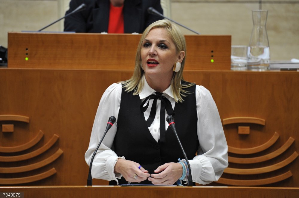 La consejera de Hacienda y Administración Pública, Elena Manzano La consejera de Hacienda y Administración Pública, Elena Manzano