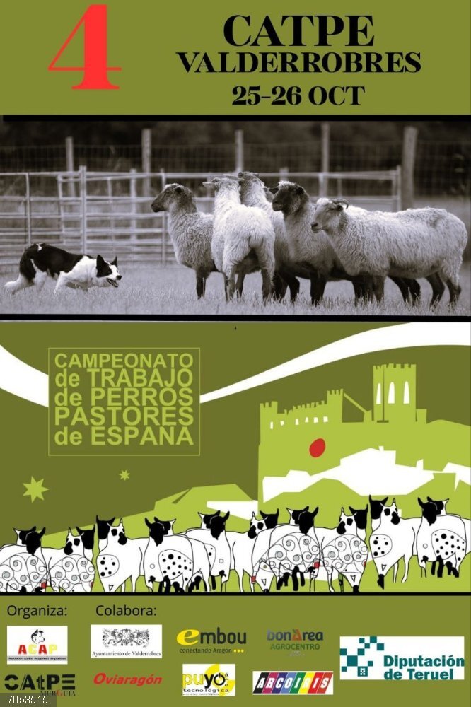 Valderrobres (Teruel) reúne a cerca de 40 participantes en el Campeonato nacional de Trabajo de Perros Pastores Cartel del Campeonato de España de Trabajo de Perros Pastores