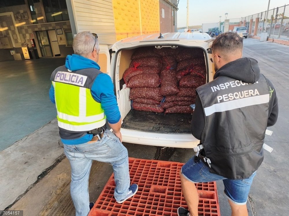 Huelva.-Sucesos.-Decomisados 1.600 kilos de almeja japonesa en Isla Cristina La mercancía decomisada no tenía ningún tipo de etiquetado en el que se indicara su procedencia.