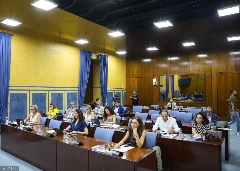 PSOE-A insta a la Junta a incrementar la "reserva de plazas" para personas con discapacidad en sus ofertas de empleo Diputados en la comisión sobre Derechos y Atención a Personas con Discapacidad del Parlamento andaluz. (Foto de archivo).