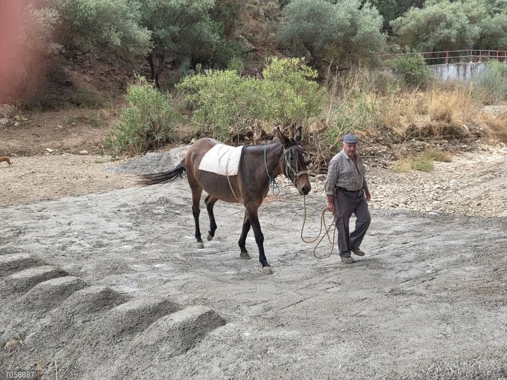 Málaga.- Casabermeja ya tiene hormigonados cuatro badenes que cruzan el río Guadalmedina en el término municipal Casabermeja ya tiene hormigonados cuatro badenes que cruzan el río Guadalmedina en el término municipal