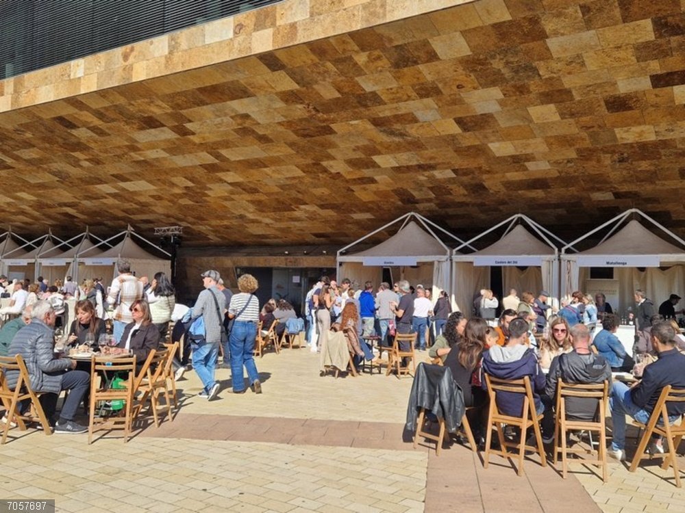 La Festa de Vi de Lleida cierra su 13 edición con 35.000 degustaciones La Festa de Vi de Lleida