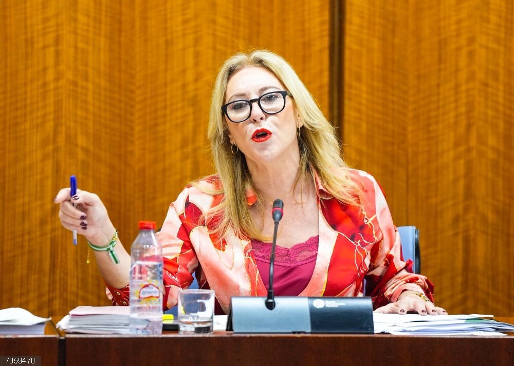 Junta defiende hallazgo de 1.807 casos de cáncer con 400.000 mamografías y oposición ve "acto de fe" sin detallar gasto La consejera de Economía, Carolina España, este lunes durante su comparecencia parlamentaria en comisión.