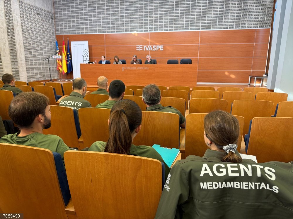 El Ivaspe forma a agentes medioambientales en la metodología para investigar causas de incendios forestales La Generalitat forma a agentes medioambientales en la metodología para investigar causas de incendios forestales