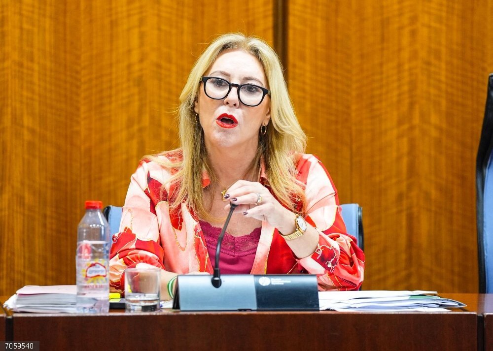 La Junta anuncia un presupuesto de 2.610,6 millones en dependencia para 2026 con un crecimiento del 12% La consejera de Economía, Carolina España, este lunes durante su comparecencia en comisión en el Parlamento.