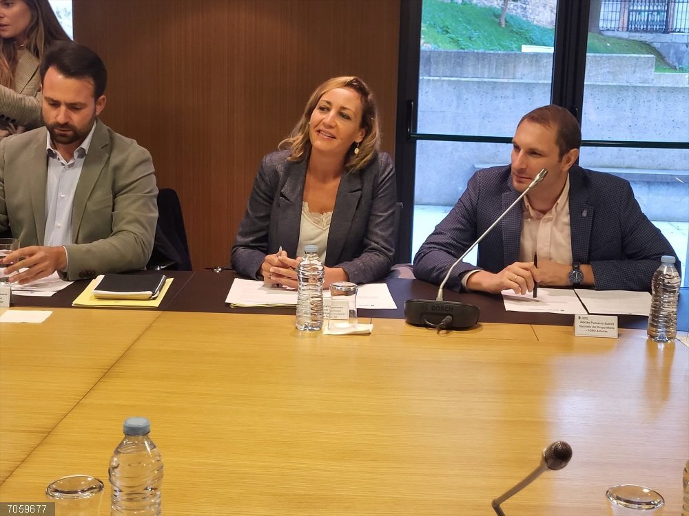 La diputada de IU Convocatoria por Asturies, Delia Campomanes, en la reunión de la Alianza por las Infraestructuras. La diputada de IU Convocatoria por Asturies, Delia Campomanes, en la reunión de la Alianza por las Infraestructuras.