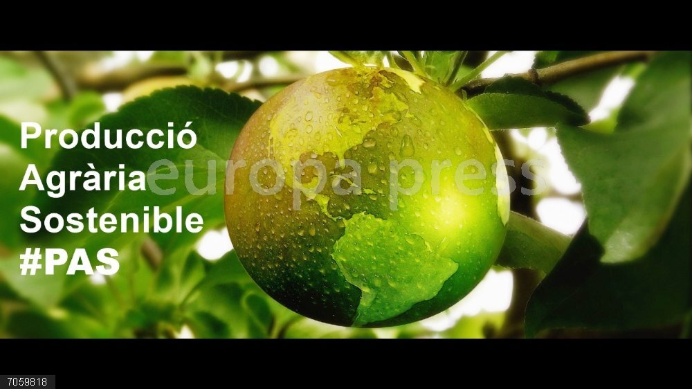 Agro.- La Producció Agrària Sostenible, seleccionada para participar en el Paris Peace Forum 2025 La Producció Agrària Sostenible, seleccionada para participar en el Paris Peace Forum 2025.