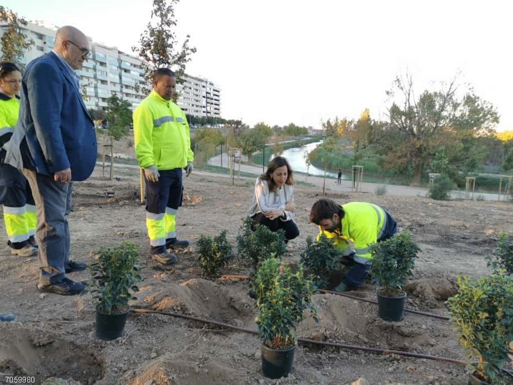 Zaragoza.- El Bosque de los Zaragozanos completa la renaturalización de casi 22.000 m2 de terreno en Parque Venecia La alcaldesa de Zaragoza, Natalia Chueca, junto a la consejera municipal de Medio Ambiente y Movilidad, Tatiana Gaudes, y representantes vecinales de Parque Venecia, visitan la renaturalización Parque Venecia dentro del Bosque de los Zaragozanos