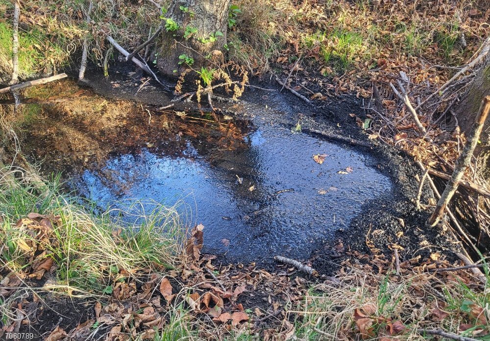 CHD confirma la contaminación de los acuíferos en varias zonas afectadas por los incendios en León Imagen de cenizas en el Río Duerna (León).