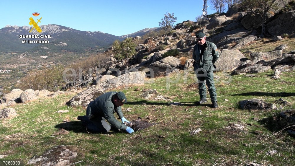 La Guardia Civil detiene a 62 personas por usar veneno y otros métodos de caza ilegales Dos agentes del SEPRONA en la investigación de uso de métodos de caza porohibidos de la Operación Antrax.