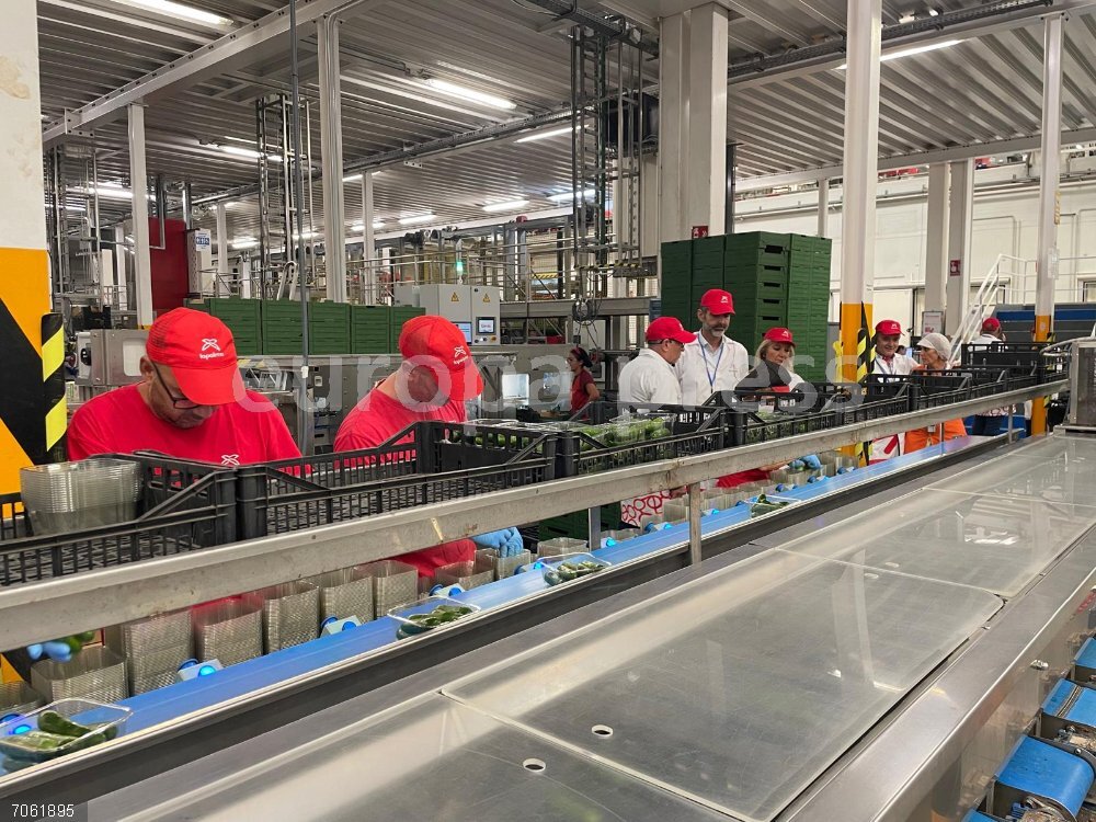 Consejo.- La Junta concede ayudas por más de 117 millones a 76 organizaciones de productores hortofrutícolas Producción agroalimentaria. (Foto de archivo).