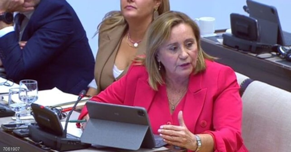 Huelva.- El PSOE acusa al PP de mentir al atribuir a la Junta el adelanto de las ayudas de la PAC La diputada nacional por el PSOE de Huelva y portavoz de la Comisión de Agricultura, Pesca y Alimentación en la Cámara Baja, María Luisa Faneca