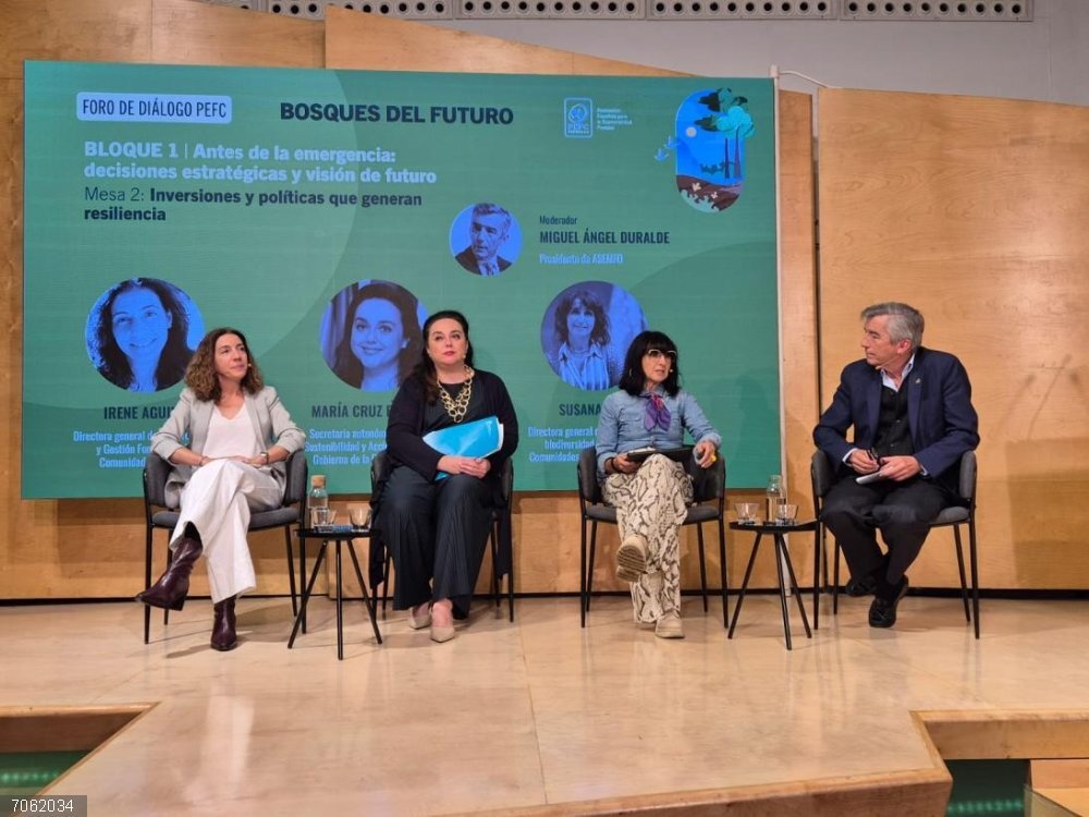 C-LM comparte su estrategia para conservación de bosques ante emergencia climática en el foro 'Bosques para el futuro' La directora general de Medio Natural y Biodiversidad, Susana Jara, durante su participación en Madrid en el Foro de diálogo 'Bosques del Futuro: Sociedad y Gestión Activa para un Territorio Resiliente'.