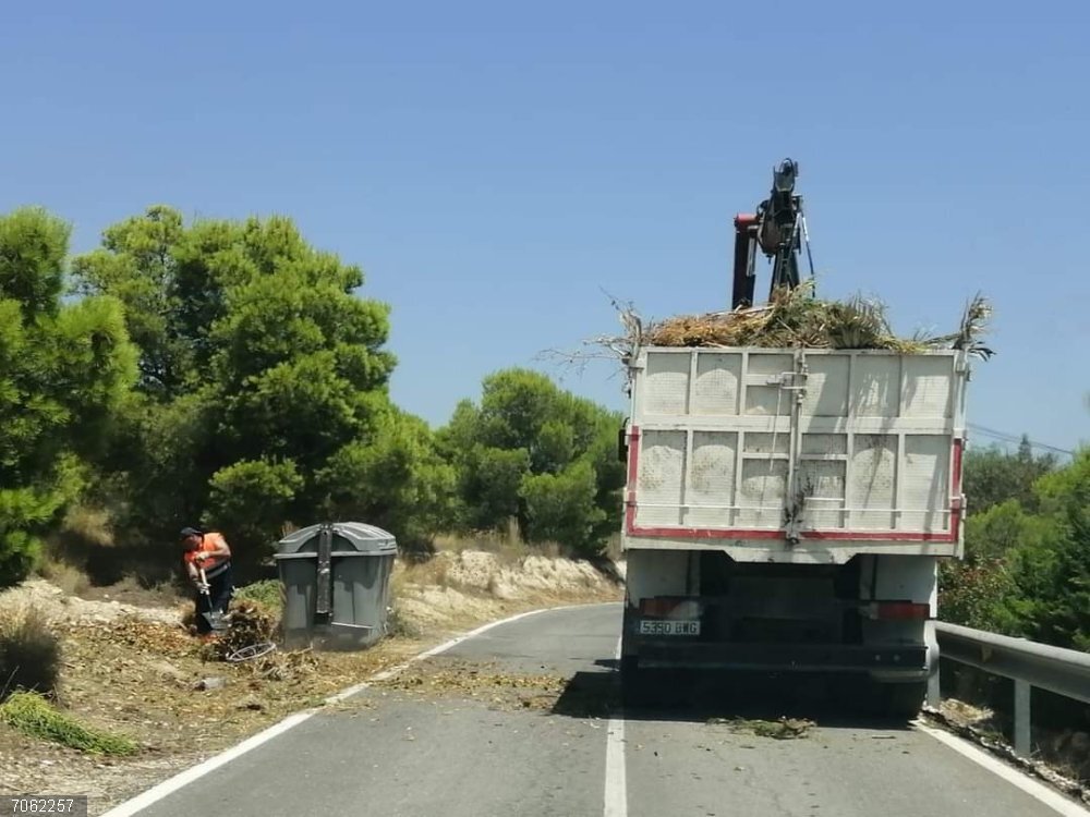 Recogida de podas Recogida de podas