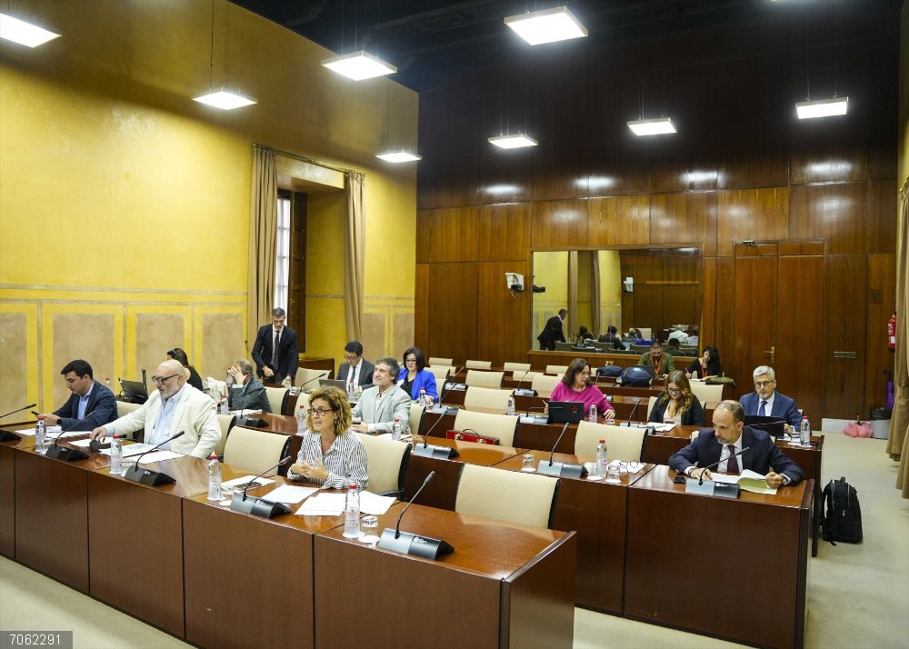 Sevilla.- PP-A y Vox rechazan en el Parlamento la iniciativa del PSOE-A para instar a la UPO a implantar Medicina Diputados en la comisión de Universidad, Investigación e Innovación del Parlamento andaluz.