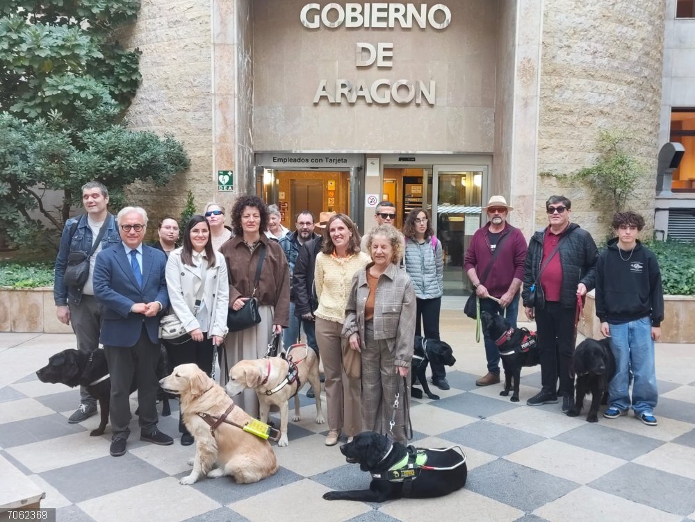 Aragón apuesta por el bienestar de los perros guía: "Cuidar de ellos es cuidar de la libertad de quienes los necesitan" El Departamento de Agricultura ha presentado el convenio de colaboración con la Asociación de Usuarios de Perros Guía de Aragón.