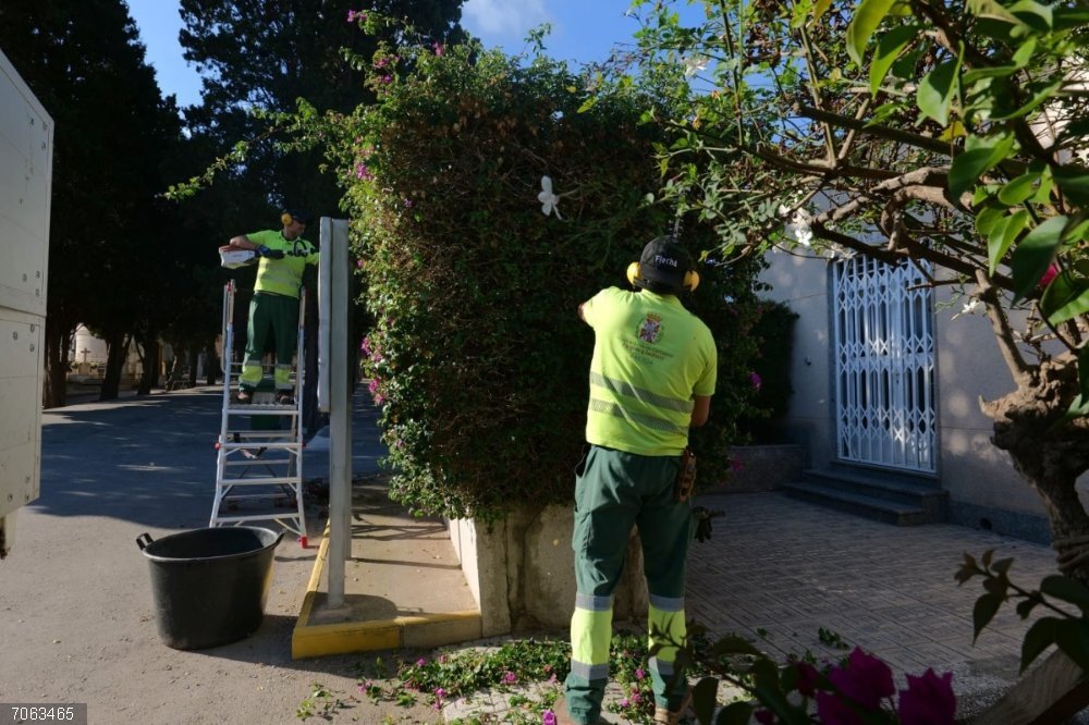 Cartagena refuerza la ornamentación floral de los cementerios municipales para Todos los Santos Operarios de Parques y Jardines del Ayuntamiento de Cartagena trabajando en el cementerio por el Día de Todos los Santos