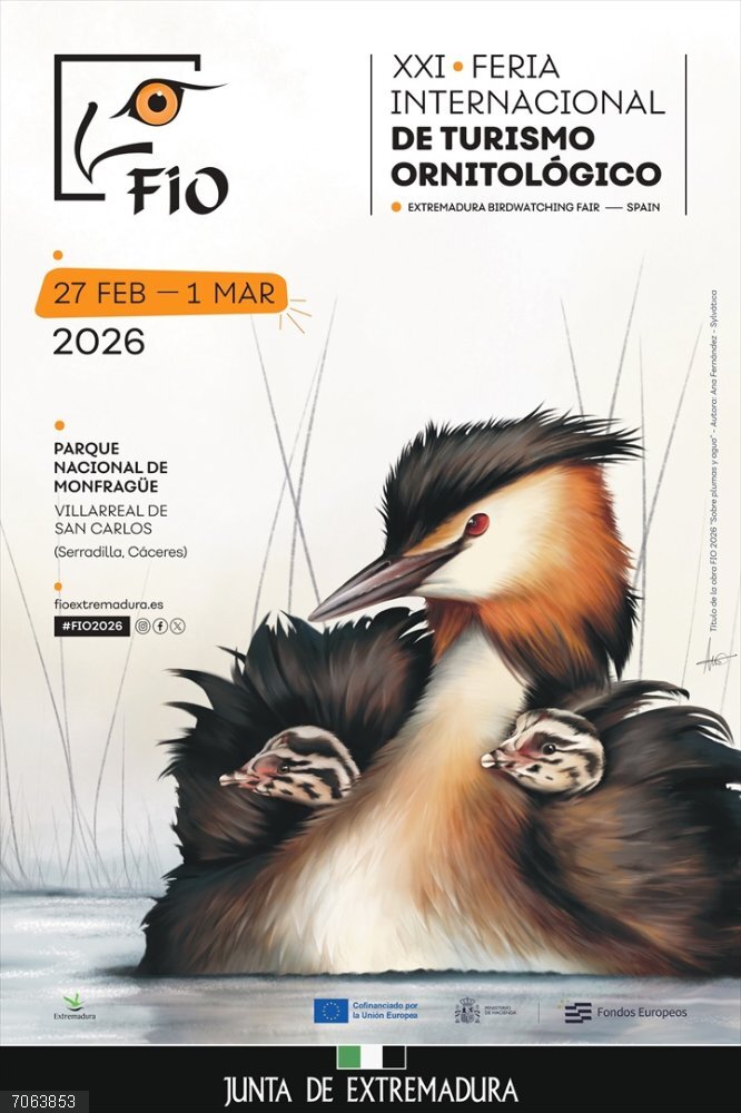 La Feria de Turismo Ornitológico de Extremadura abre el plazo de su concurso fotográfico con 7.300 euros en premios Cartel de FIO 2026