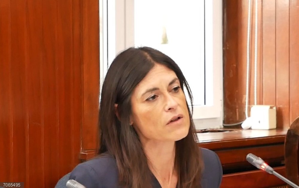 Vox preguntará sobre la falta de iluminación en Santander en el Pleno de este jueves Vox preguntará sobre la falta de iluminación en Santander en el pleno de este jueves