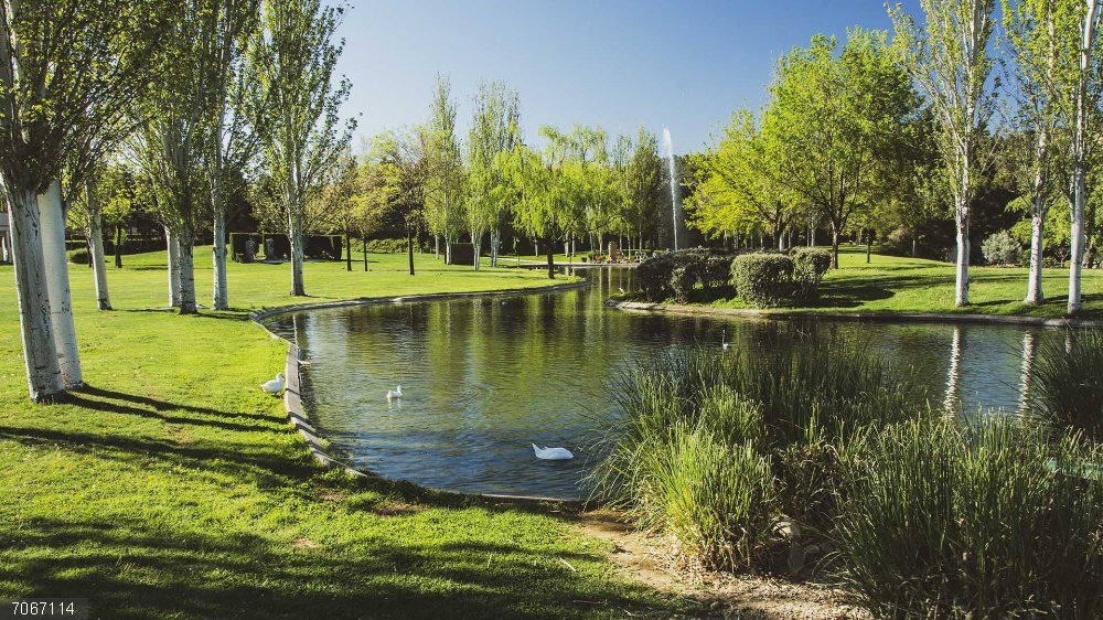 Alcalá.- El PSOE propone habilitar una línea de bus gratuita para el Cementerio Jardín por Todos los Santos Cementerio Jardín en Alcalá de Henares