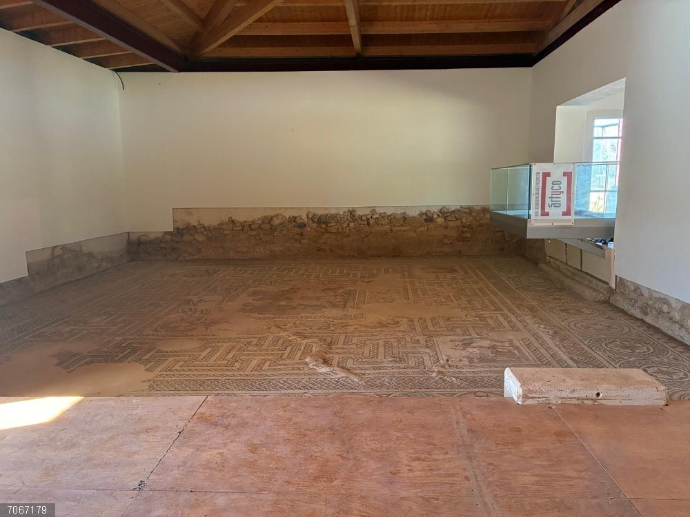 Zaragoza.- Recuperado el mosaico de Cadmo y Harmonia en 'La Malena' tras los daños causados por las lluvias en junio Recuperado el mosaico de Cadmo y Harmonia en La Malena tras los daños causados por las lluvias en junio.