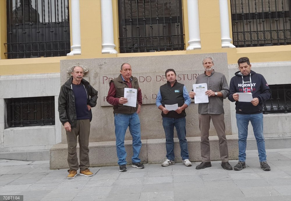 Convocantes de la concentración. Convocantes de la concentración.