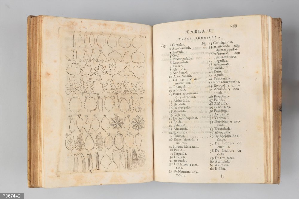 Cultura.- Una exposición sobre los secretos de la ilustración botánica de los siglos XVI-XIX llega a la UV La UV presenta una exposición sobre los secretos de la ilustración botánica de los siglos XVI-XIX