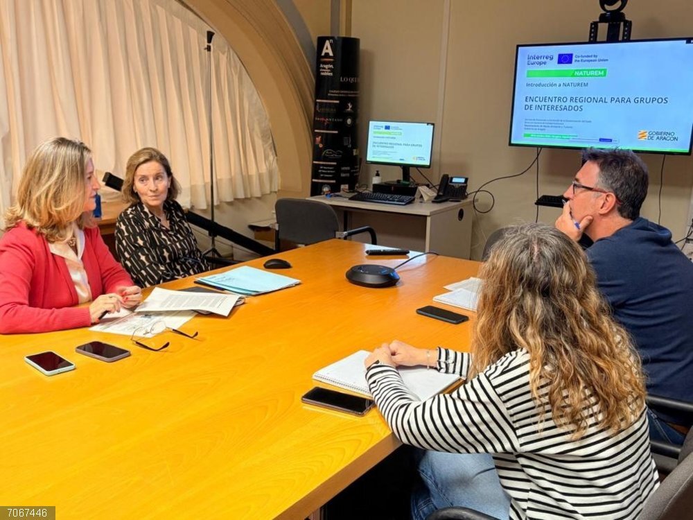 Aragón organiza el primer encuentro regional de un proyecto europeo para la descontaminación del lindano Encuentro por videoconferencia del proyecto 'Naturem'.