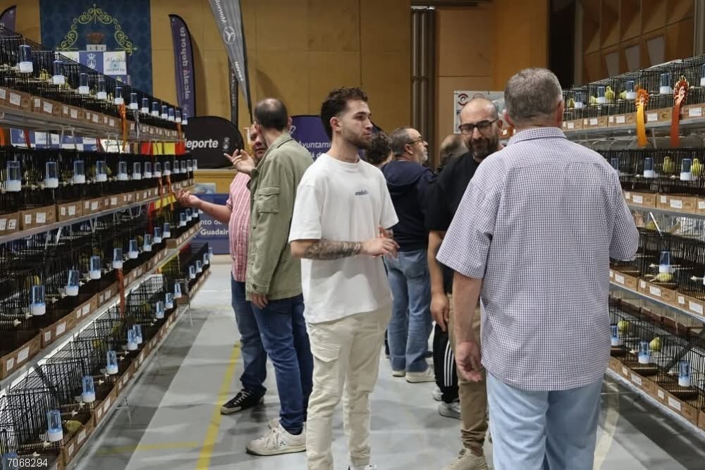 Sevilla.- El Concurso Ornitológico Algüira reúne a 2.000 ejemplares de todo tipo en Alcalá de Guadaíra Concurso Ornitológico Algüira en Alcalá de Guadaíra. Imagen de Archivo.