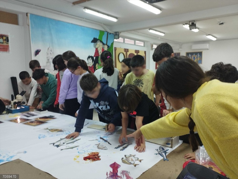 CádizAlDía.- Unas 27.000 personas participarán en la nueva edición de programas de Educación Ambiental de la Diputación Alumnos de un centro participando en el programa de Educación Ambiental de la Diputación.