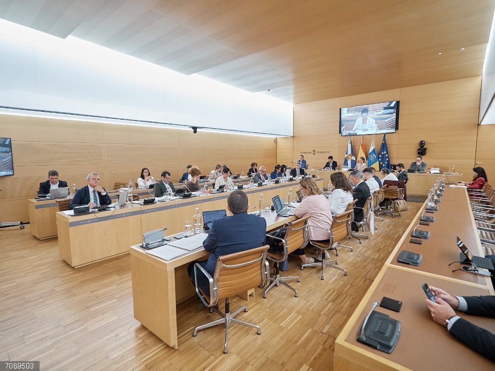 El Cabildo de Tenerife insta al Estado, por unanimidad, a que financie los trenes comarcales en la isla Pleno del Cabildo de Tenerife