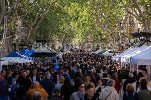 Barcelona celebra Sant Jordi 2024