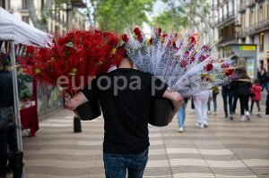 Barcelona celebra Sant Jordi 2024