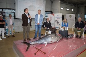 El consejero de Desarrollo Rural, Ganadería, Pesca y Alimentación, Pablo Palencia, asisten al ronqueo de atún rojo.