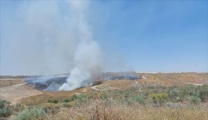 Incendios.- Extinguido el fuego en Borox (Toledo) que ha quemado diez hectáreas de terreno forestal