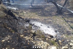 Agents Rurals cree que la causa del incendio en Tortosa (Tarragona) es la quema de restos vegetales