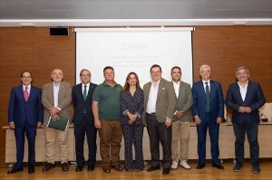 Jaén.- Andalucía copa el valor de la producción nacional de aceite de oliva con el 83,7%, según un informe de Cesur